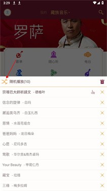 雪域音乐app