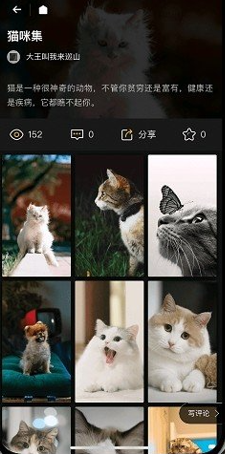 纸塘壁纸软件