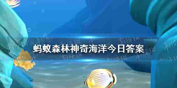 你知道吗海龟的眼泪通常 神奇海洋4月10日答案