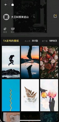 纸塘壁纸软件