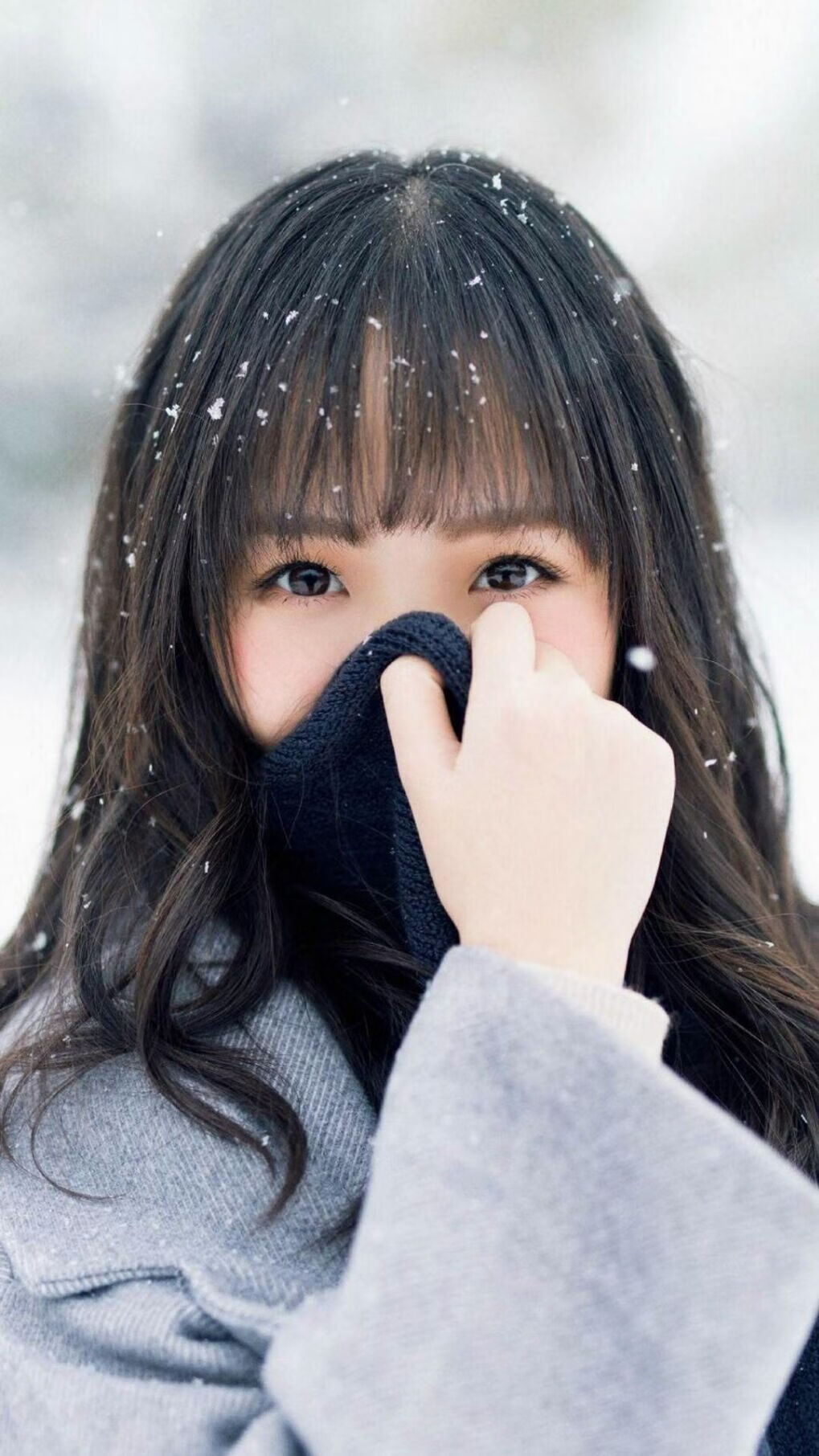 向日葵视频app在线观看无限看免费（向日葵视频combo）