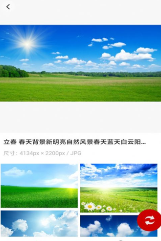 白鸽壁纸软件
