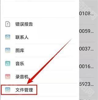 Kiwi Browser浏览器中文版