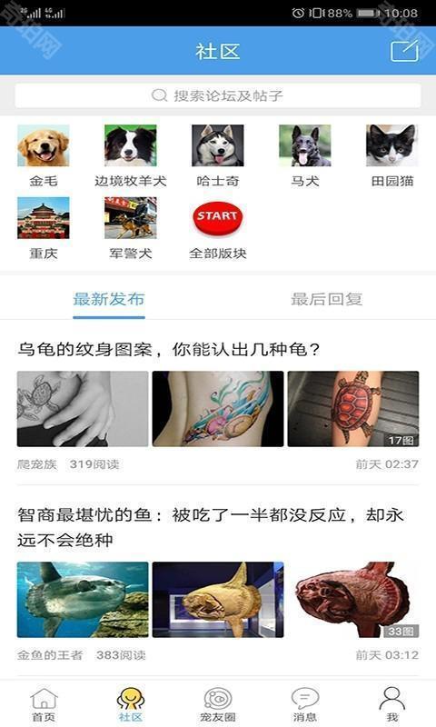宠物之家