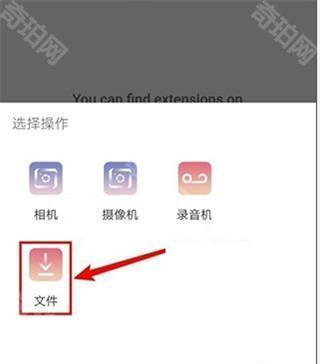 Kiwi Browser浏览器中文版