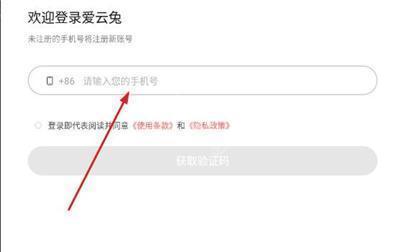 爱云兔