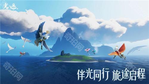 光遇樱花辅助器（免费）