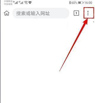 Kiwi Browser浏览器中文版