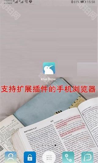 Kiwi Browser浏览器中文版