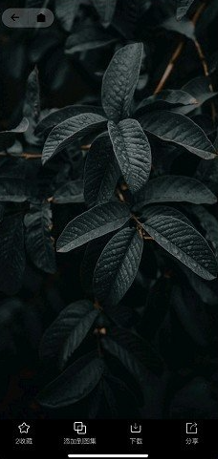 纸塘壁纸软件