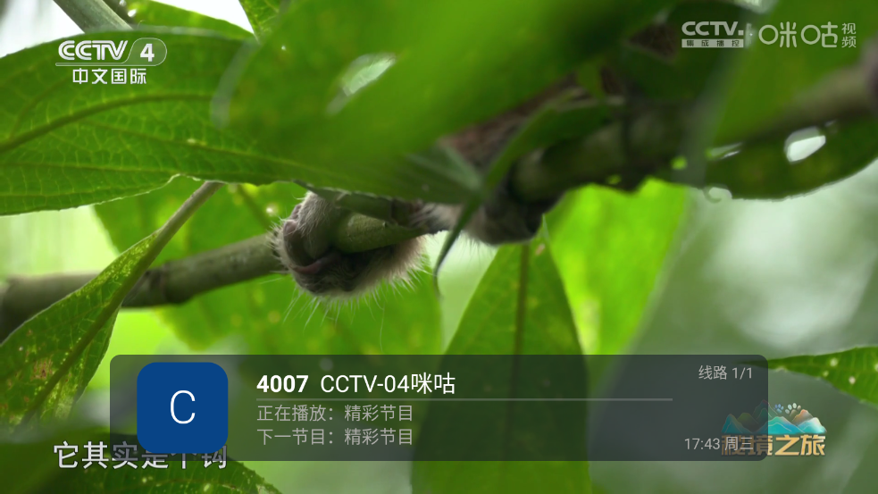 前线电视tv版
