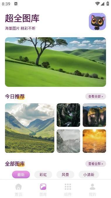 回音鸟2025最新版