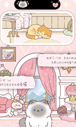 鲸鱼小组件安卓版