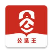 公选王遴选官方