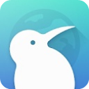 KiwiBrowser浏览器 V132.0.6961.0手机版