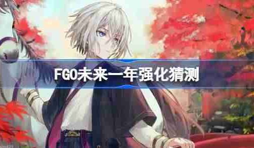 FGO未来一年该怎么选择强化-FGO未来一年强化猜测
