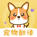 奇奥拉猫语