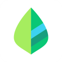 薄荷记账app下载 V10.7.7手机版