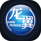 掌上龙翼手机版