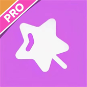 主题库pro安卓手机版