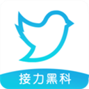 飞鸟下载器 V3.96手机版